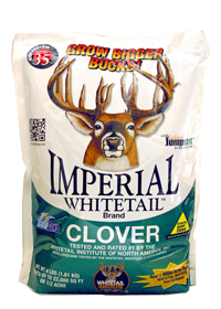 Imperial Whitetail Clover